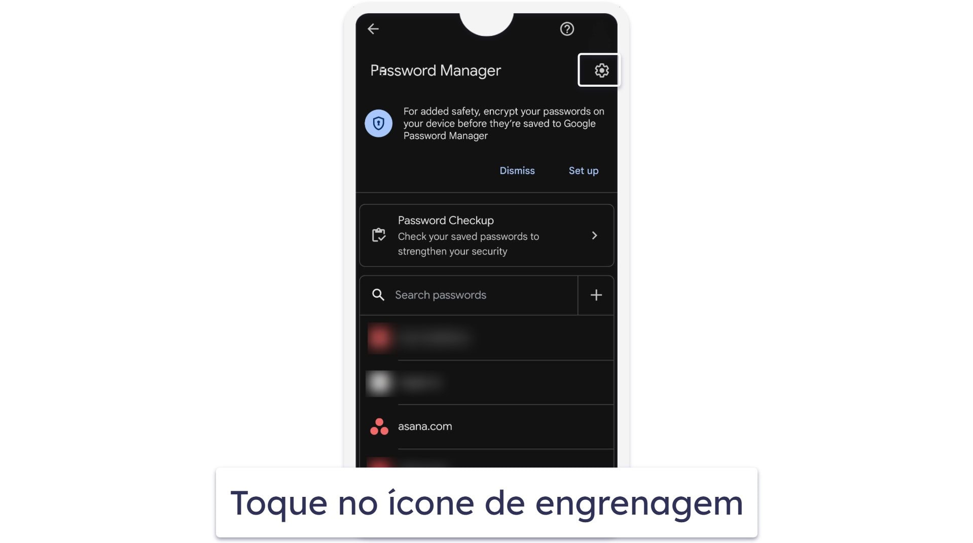 Como acessar senhas salvas sem o navegador Chrome (somente no Android)