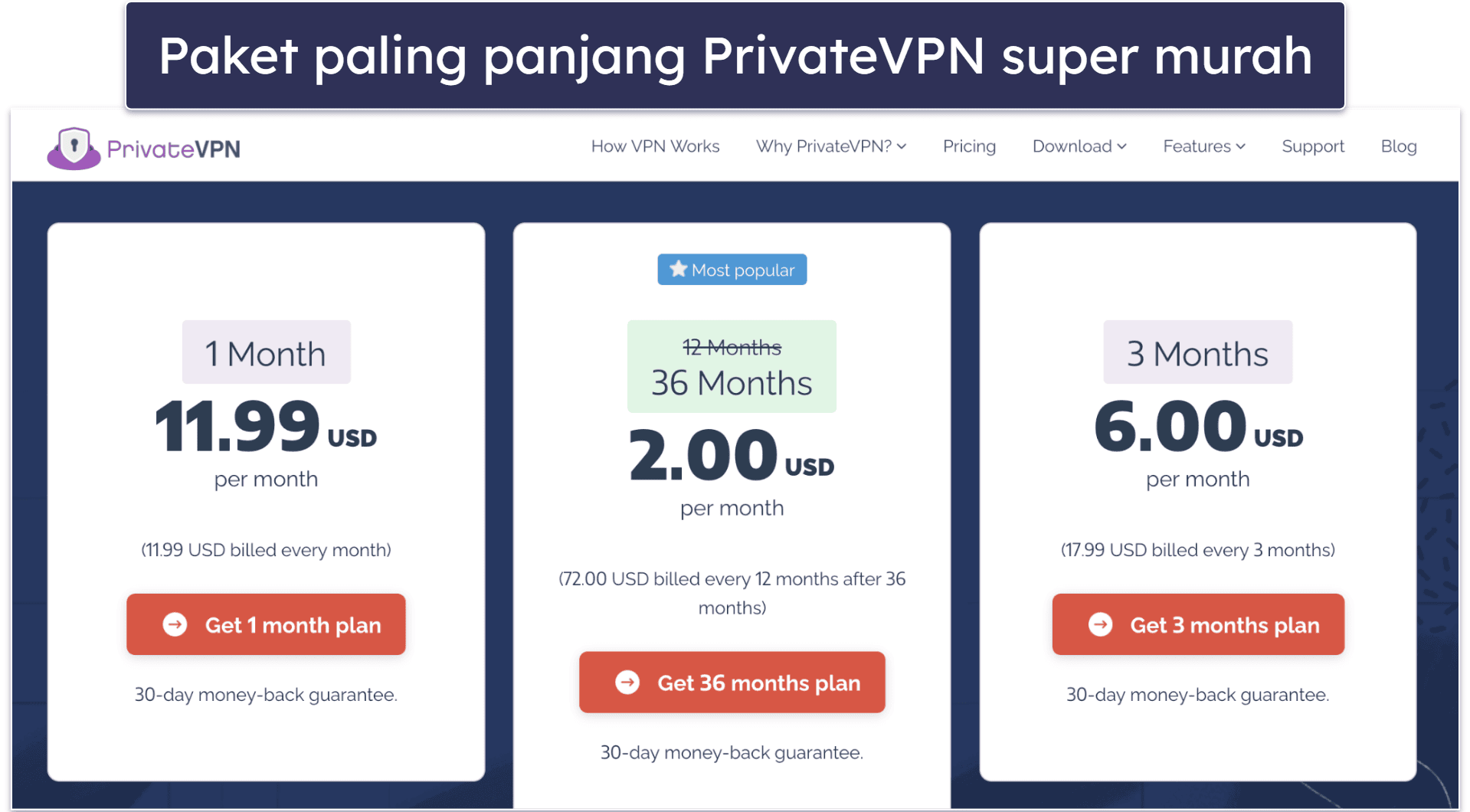 PrivateVPN