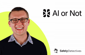 Interview with Anatoly (Toly) Kvitnitsky - Founder of AI or Not