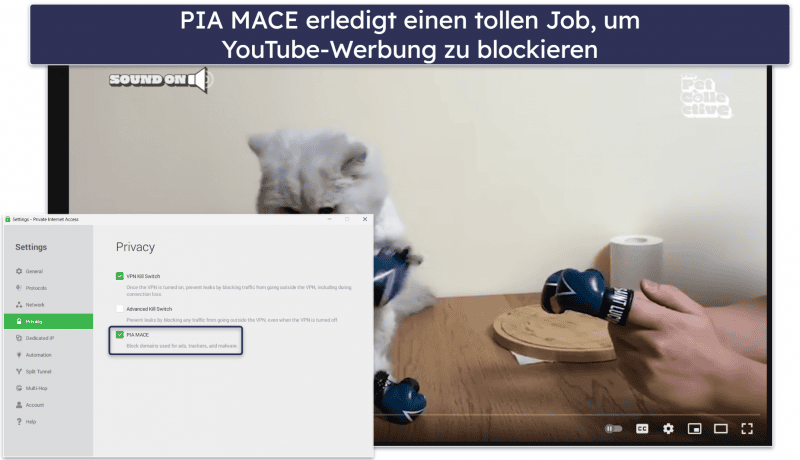 🥈2. Private Internet Access: hervorragender Werbeblocker