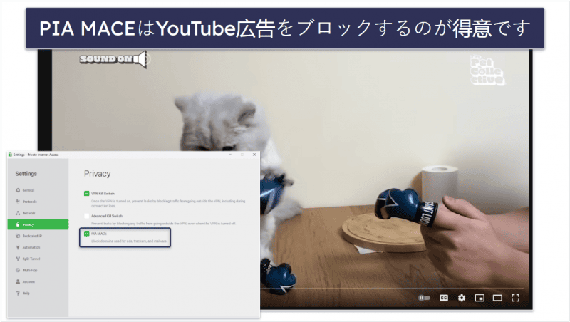 🥈2. Private Internet Access：優秀な広告ブロッカーを搭載