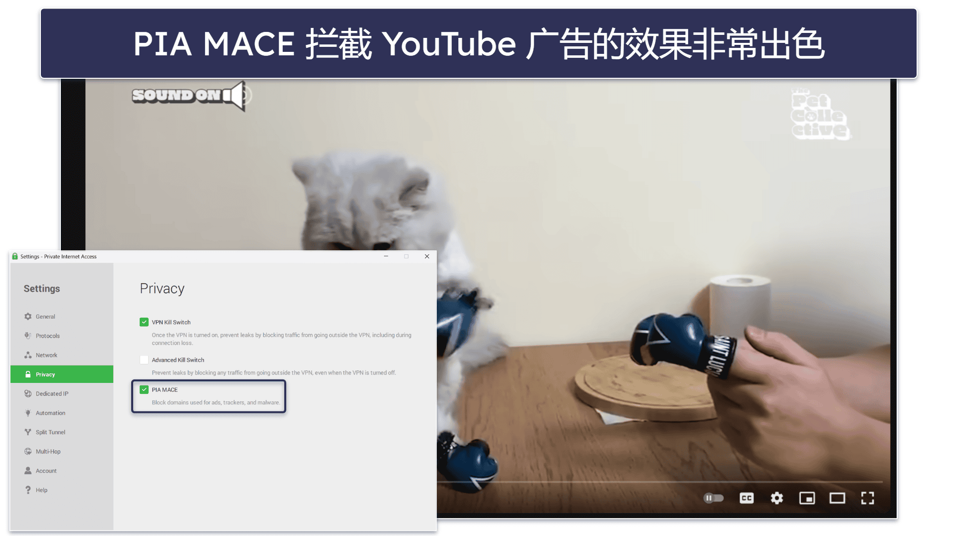 🥈2. Private Internet Access:广告拦截工具 出色