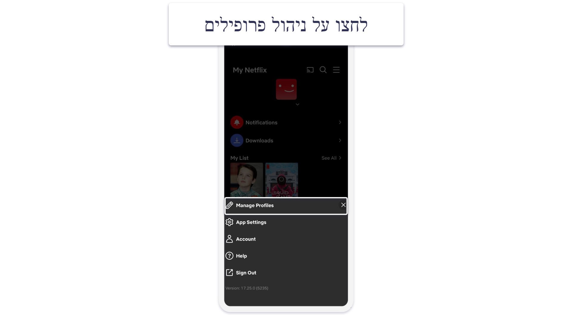 3 דרכים להשיג כתוביות לנטפליקס בשנת 2026