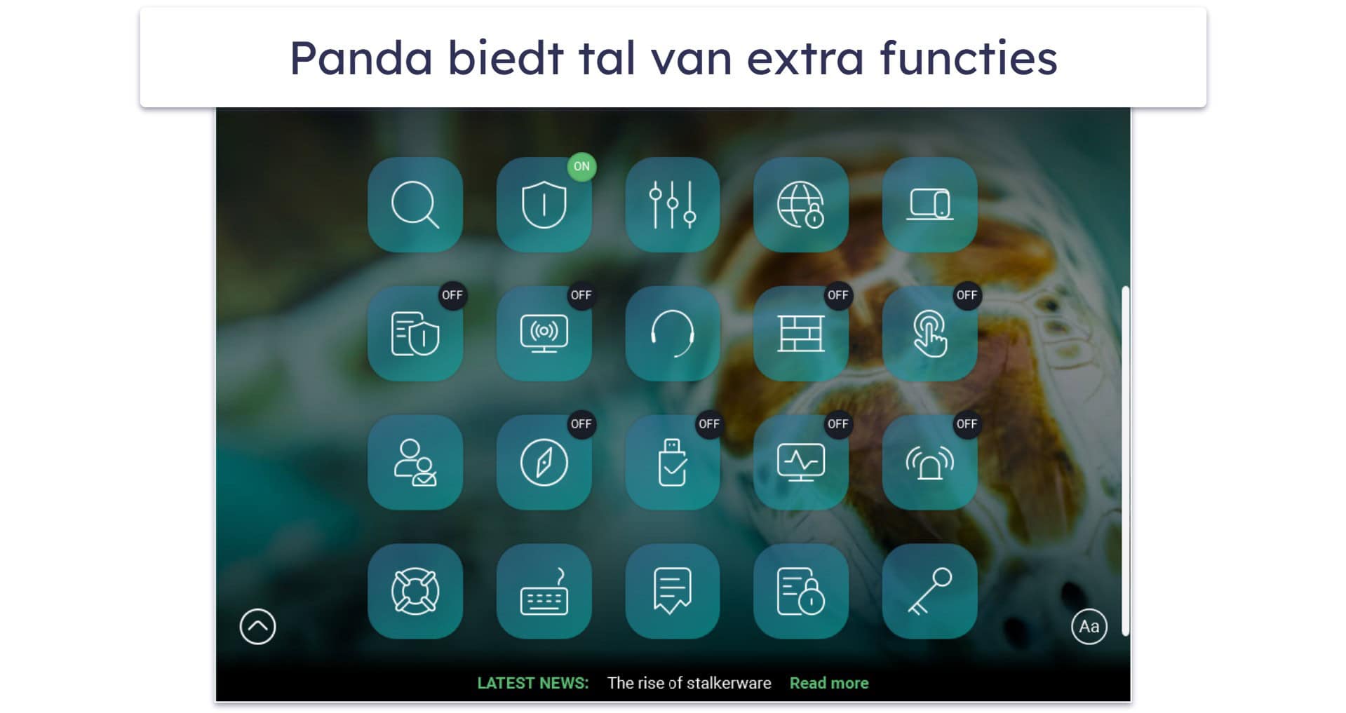 6. Panda Dome: Beste voor flexibele prijsopties