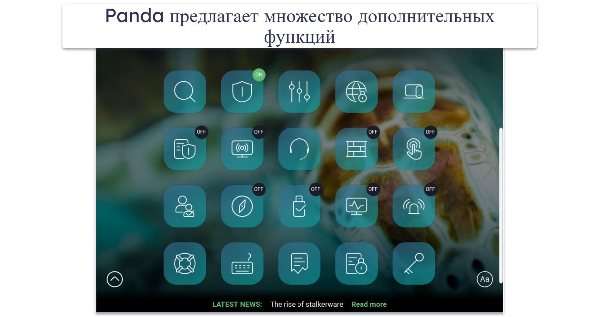 6. Panda Dome: самое гибкое ценообразование