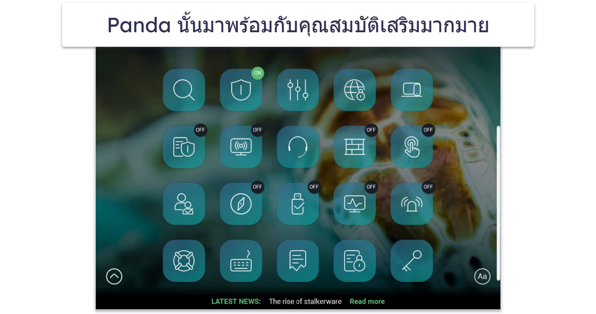 6. Panda Dome: ดีที่สุดด้านราคาที่มีความยืดหยุ่น