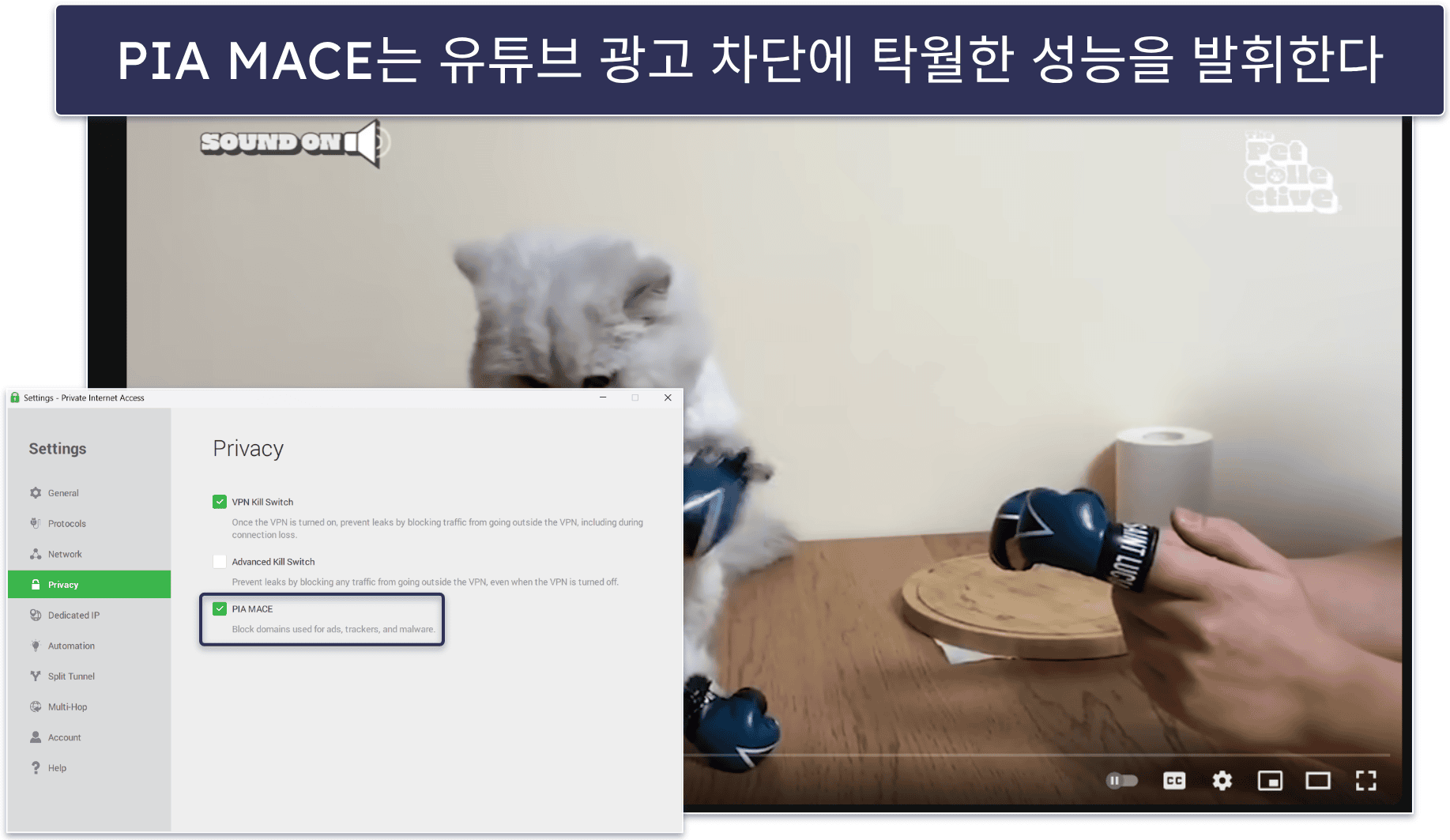 🥈2. Private Internet Access : 훌륭한 광고 차단기