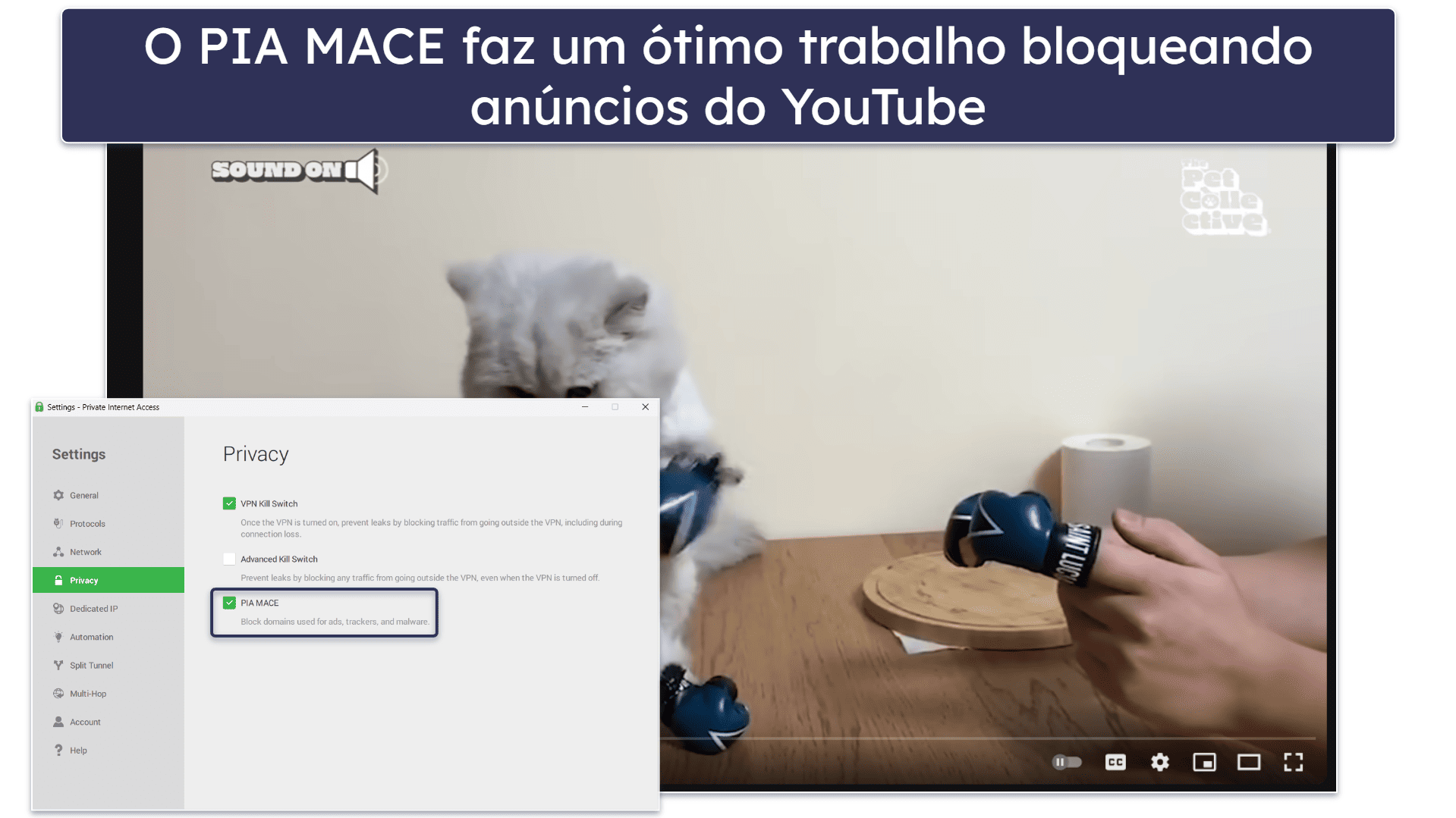 🥈2. Private Internet Access: excelente bloqueador de anúncios