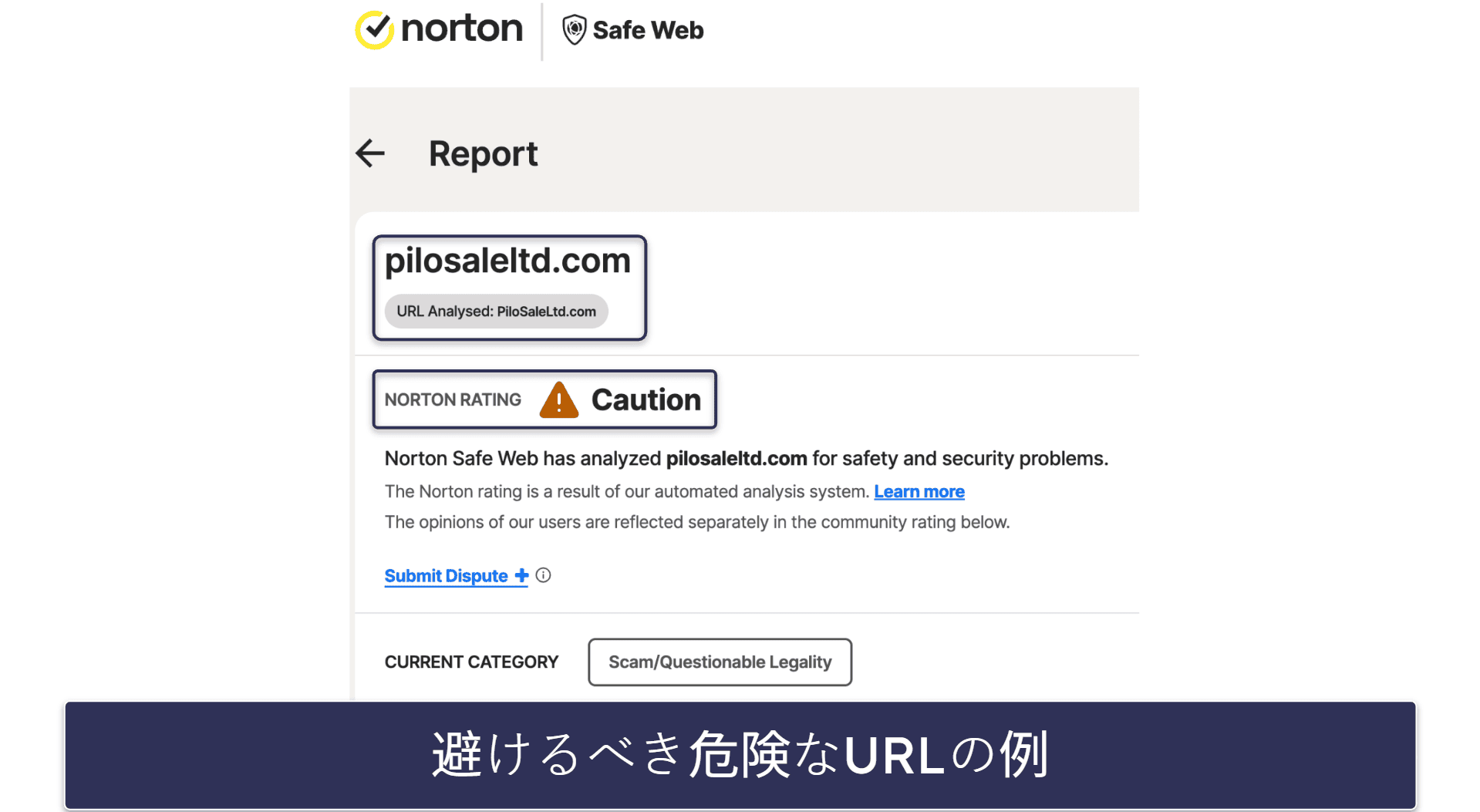 偽サイトか確認する方法 10選