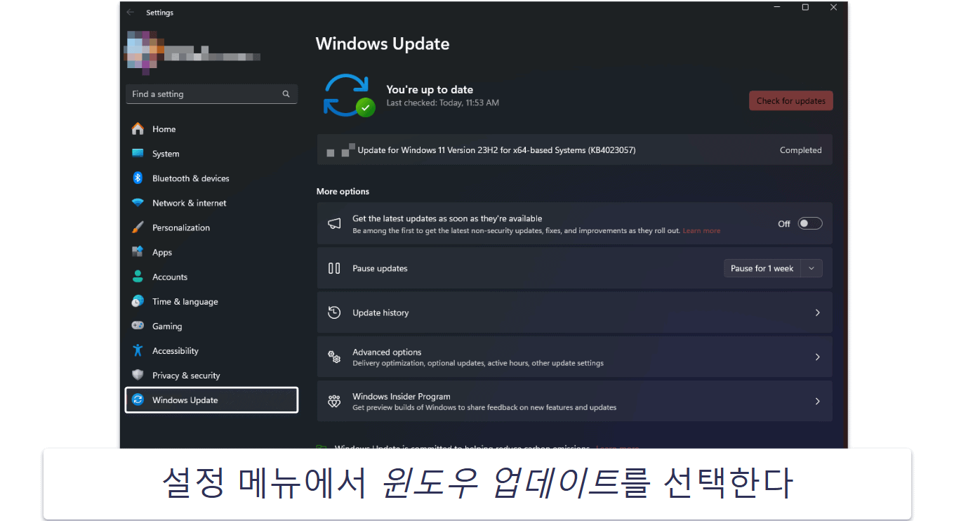 윈도우 11 업데이트 방법