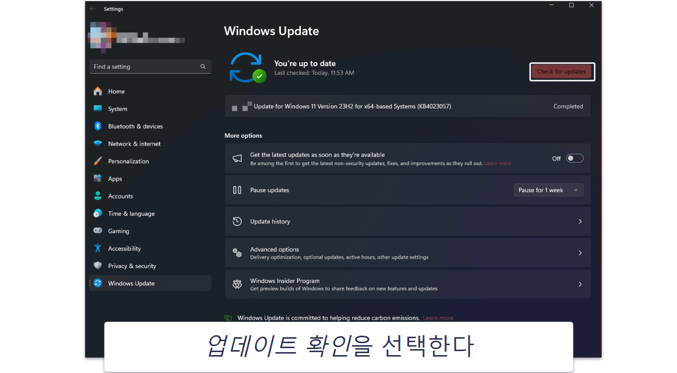 윈도우 11 업데이트 방법