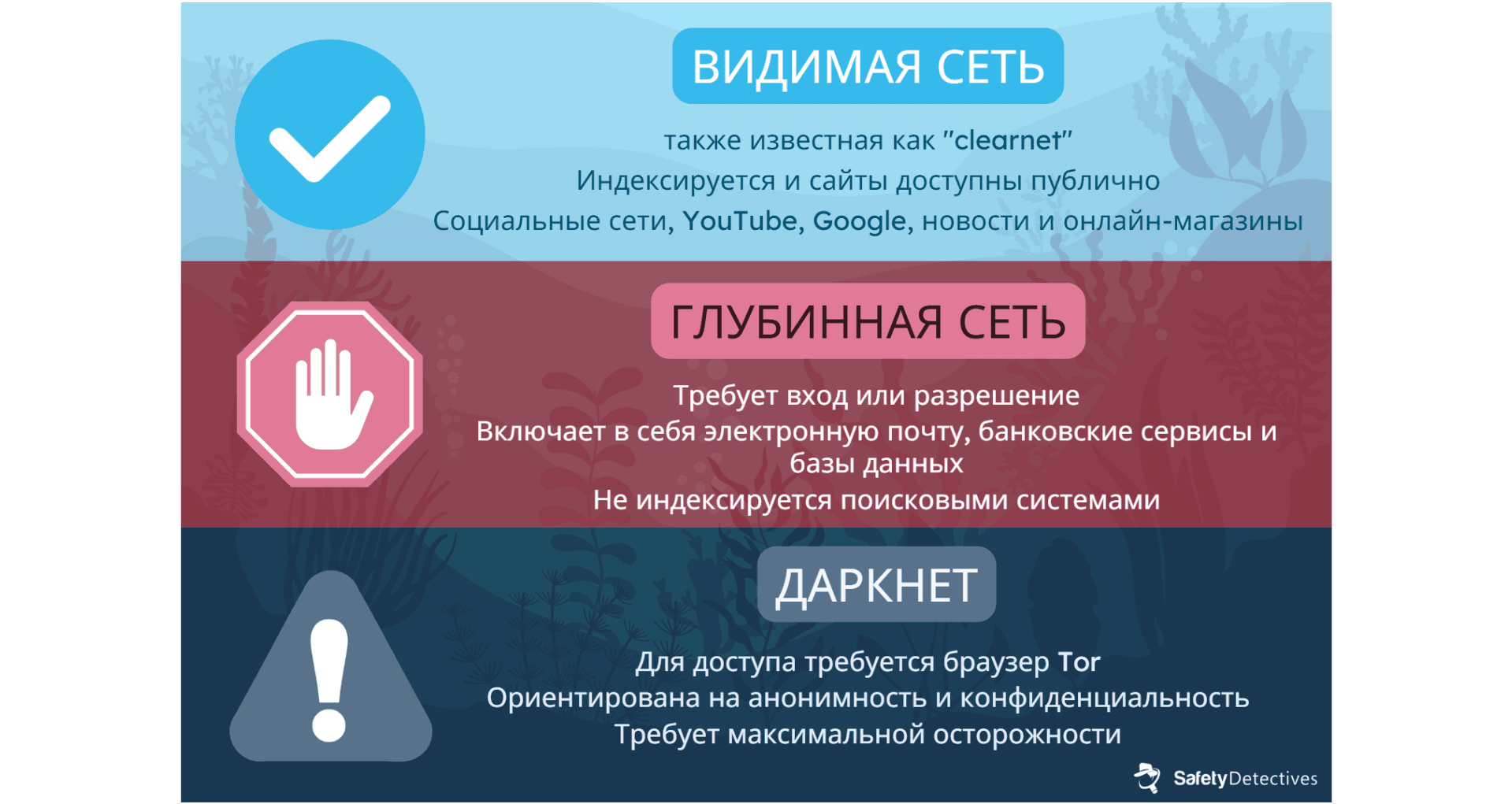 Даркнет, глубинная сеть и видимая сеть