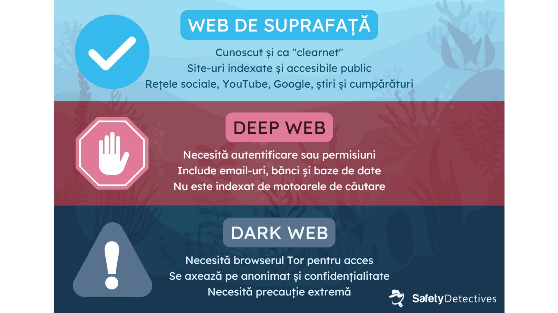 Dark Web vs. Deep Web vs. Web de suprafață