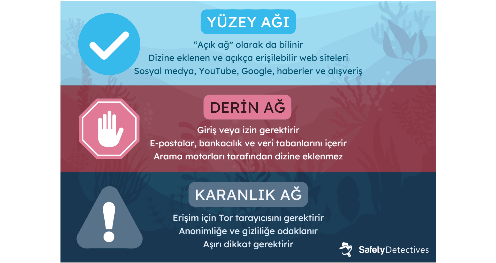 Karanlık Ağ, Derin Ağ ve Yüzey Ağı