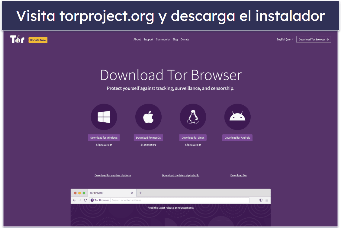 Cómo acceder a la Dark Web desde un ordenador