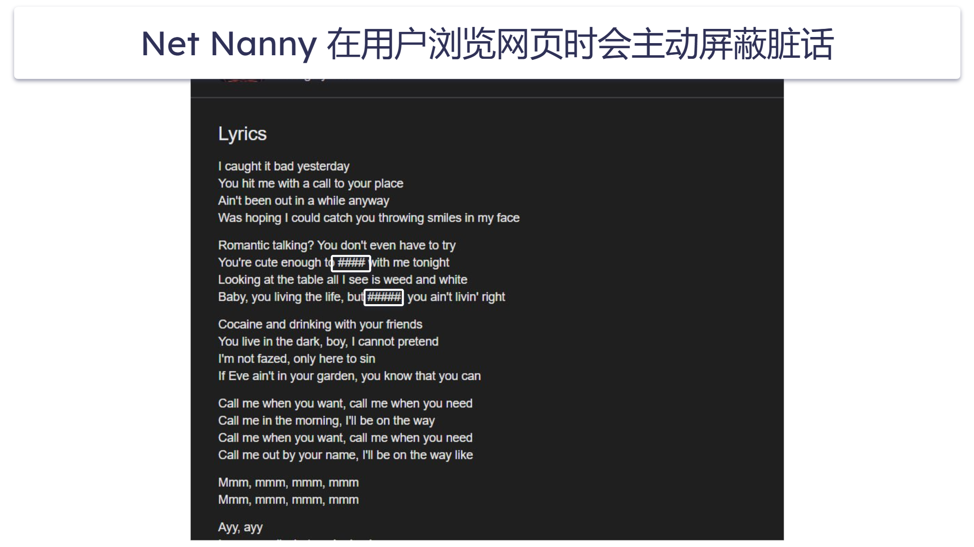 8.Net Nanny：Windows 内容过滤的不二之选