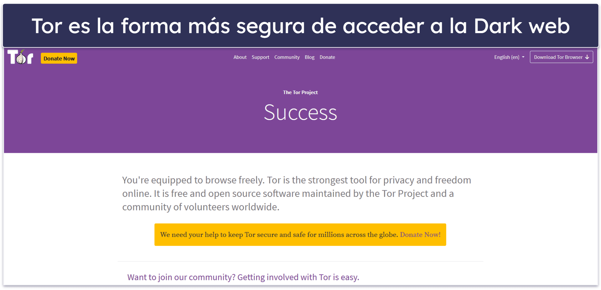 Consejos para protegerte en la Dark web