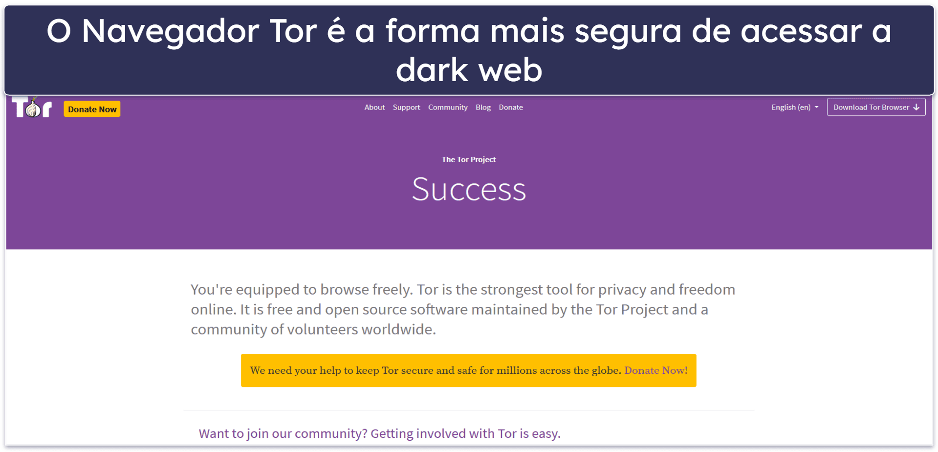 Como usar a dark web com segurança em qualquer dispositivo